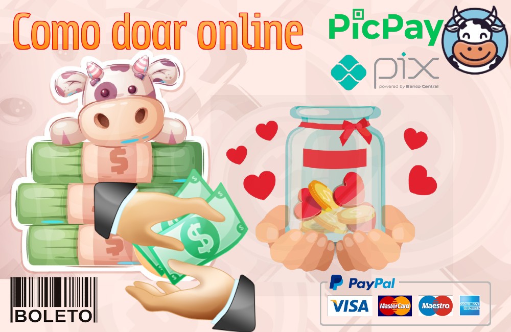 Vaquinha Virtual Online Como Doar?
